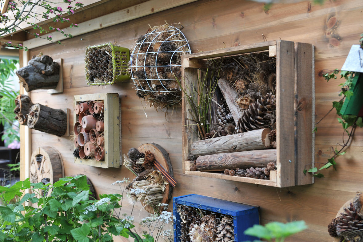 Eine Holzwand mit mehreren Insektenhotels